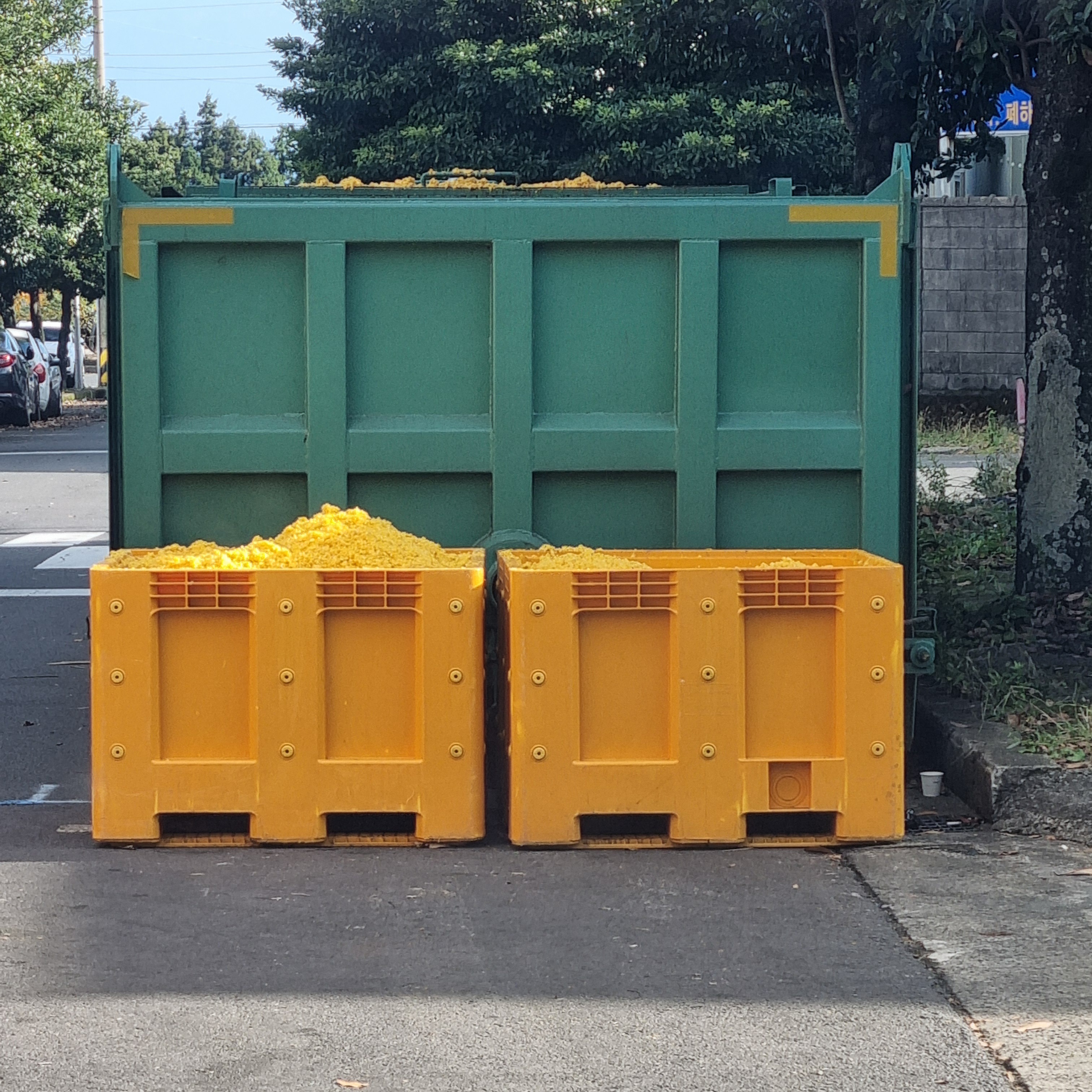 제주 감귤박 업사이클링 원료